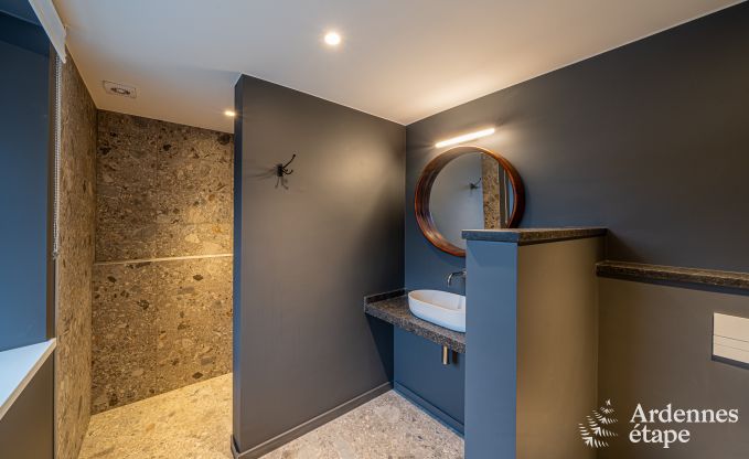 Luxe villa voor 14 personen in Havelange met priv�tuin en moderne voorzieningen in de Ardennen