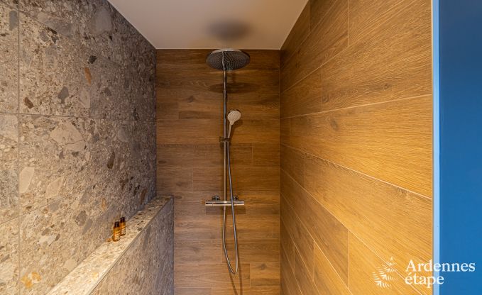 Luxe villa voor 14 personen in Havelange met priv�tuin en moderne voorzieningen in de Ardennen