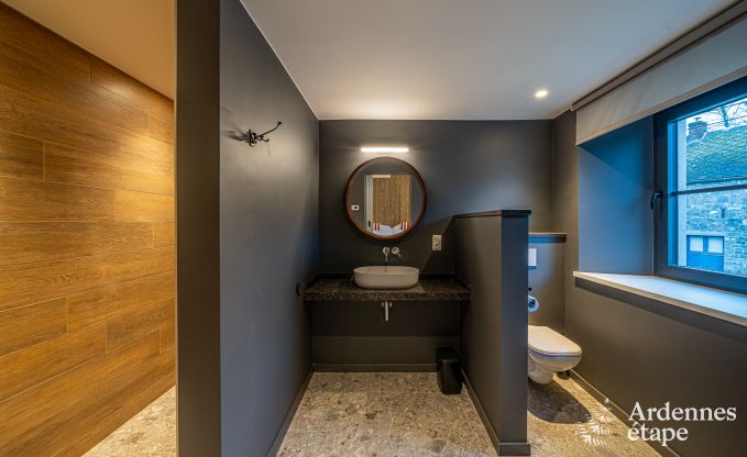 Luxe villa voor 14 personen in Havelange met priv�tuin en moderne voorzieningen in de Ardennen