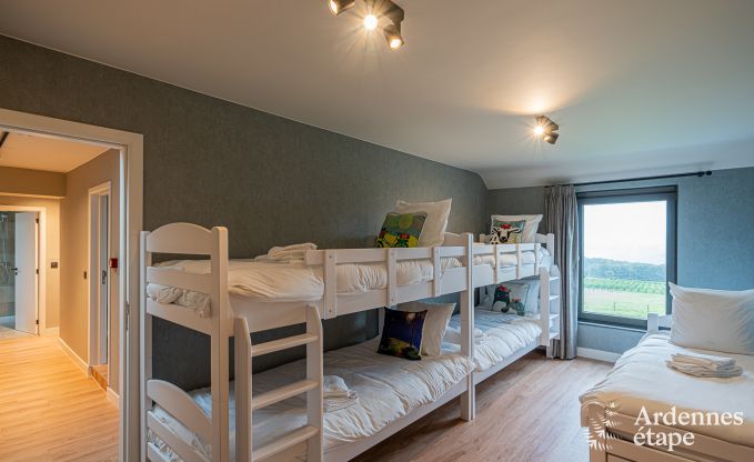 Comfortabel vakantiehuis voor 12 personen  in Hron, Ardennen