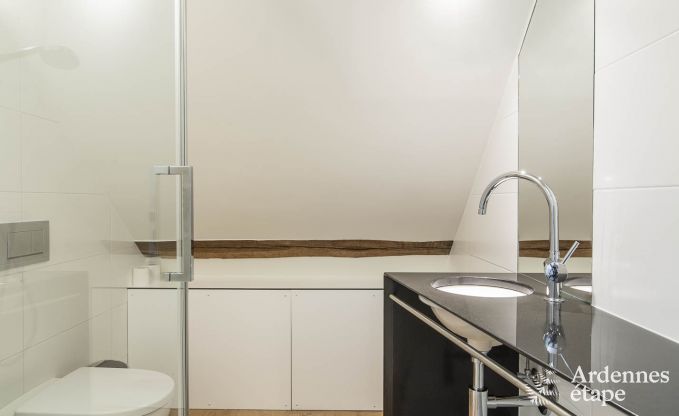 Vakantiehuis in Herve voor 14 personen in de Ardennen