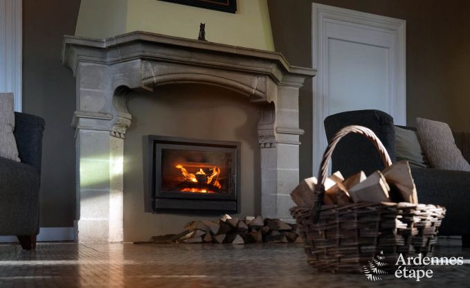 Kasteel in Hockai voor 20 personen in de Ardennen