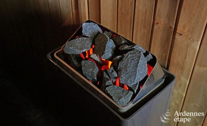 Kasteel in Hockai voor 20 personen in de Ardennen