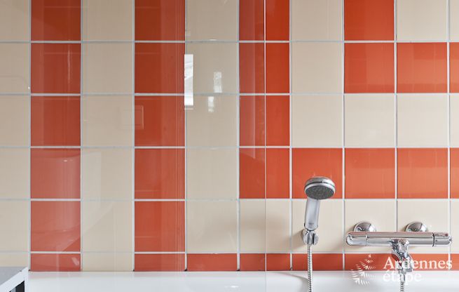 Cottage in Houffalize voor 24 personen in de Ardennen