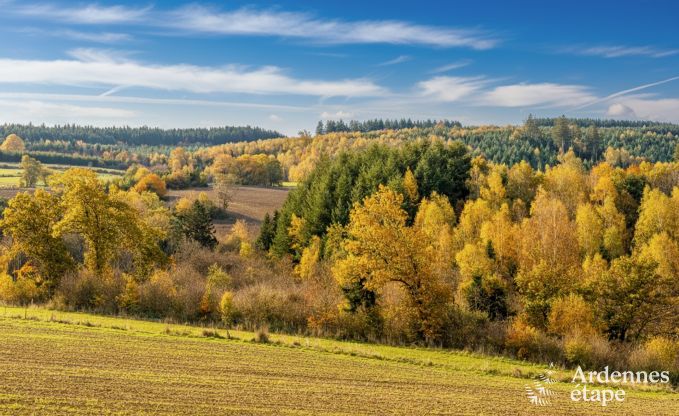 luxe villa in Houffalize: accommodatie voor 18 personen met zwembad, sauna en priv tuin in de Ardennen