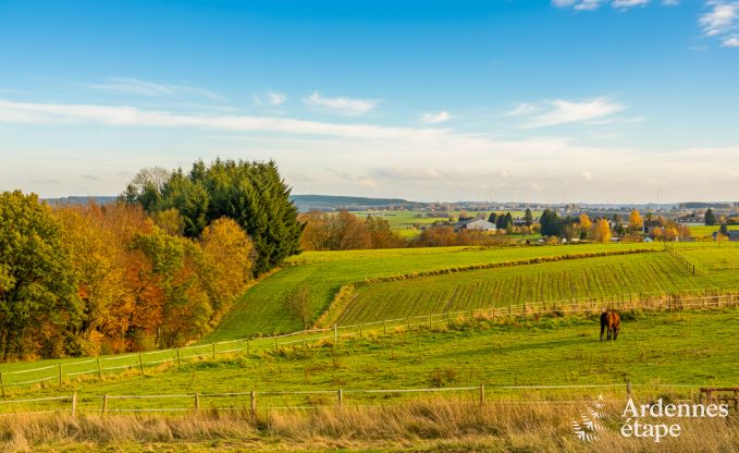 luxe villa in Houffalize: accommodatie voor 18 personen met zwembad, sauna en priv� tuin in de Ardennen