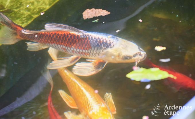 Vakantiehuis in Jalhay voor 9 personen in de Ardennen