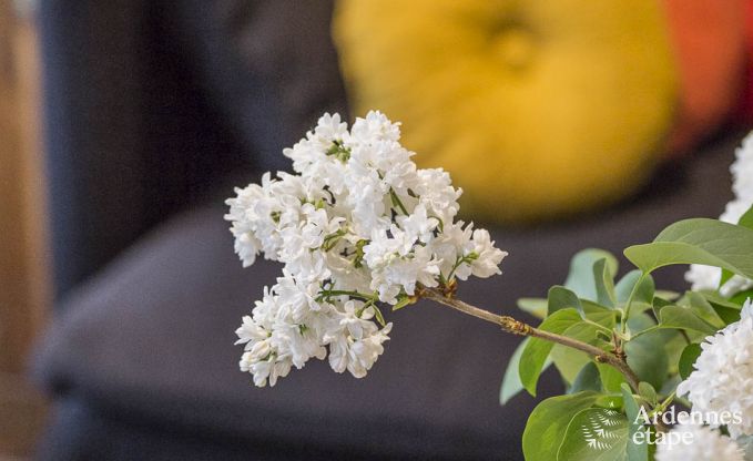 Vakantiehuis in La Roche-En-Ardenne voor 4 personen in de Ardennen