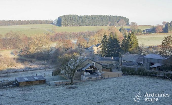 Vakantiehuis in La Roche-En-Ardenne voor 9 personen in de Ardennen