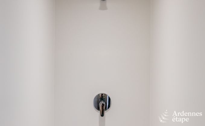 Vakantiehuis in La Roche-En-Ardenne voor 15 personen in de Ardennen