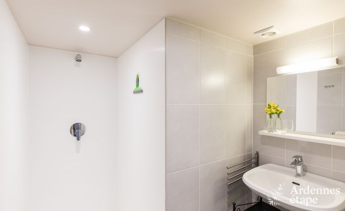 Vakantiehuis in La Roche-En-Ardenne voor 15 personen in de Ardennen