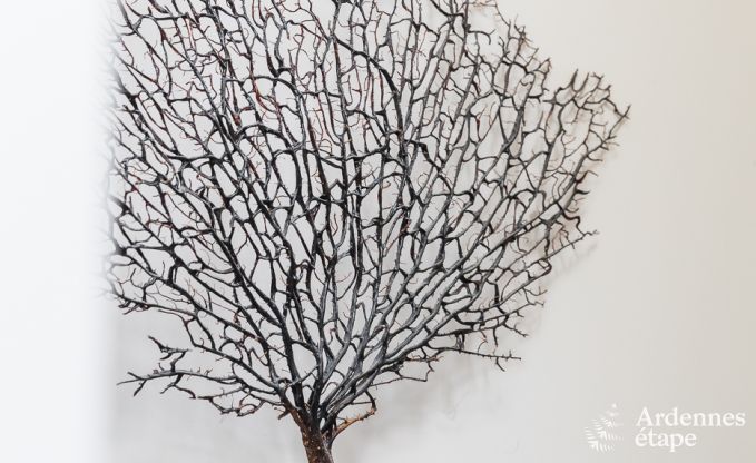 Vakantiehuis in La Roche-En-Ardenne voor 15 personen in de Ardennen