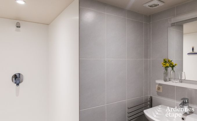 Vakantiehuis in La Roche-En-Ardenne voor 15 personen in de Ardennen