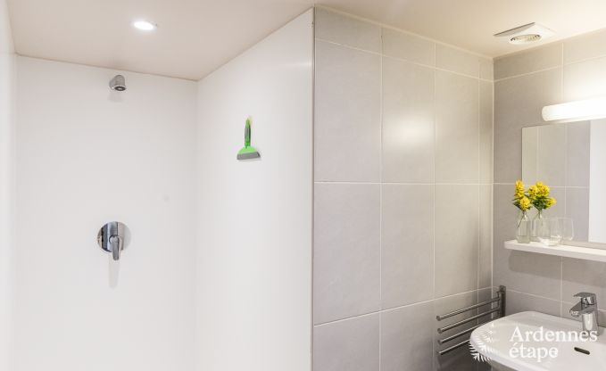 Vakantiehuis in La Roche-En-Ardenne voor 15 personen in de Ardennen