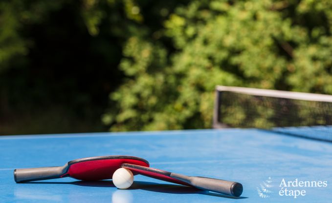 Vakantiehuis in La Roche-En-Ardenne voor 15 personen in de Ardennen