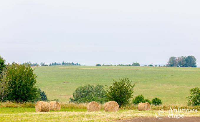 Luxe villa in La Roche en Ardenne voor 14 personen in de Ardennen