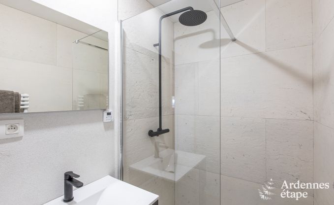 Vakantiehuis in La Roche-en-Ardenne voor 8 personen in de Ardennen