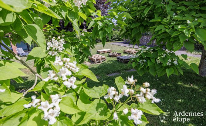 Vakantiehuis in La Roche en Ardenne voor 15/16 personen in de Ardennen