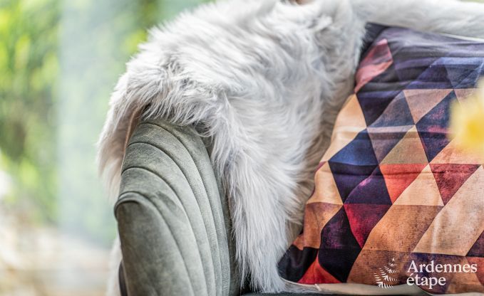 Vakantiehuis in La Roche-en-Ardenne voor 2 personen en n baby in de Ardennen