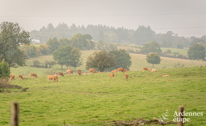 Charmante tiny house voor 4 personen in Lglise met kitchenette, houtkachel en privtuin