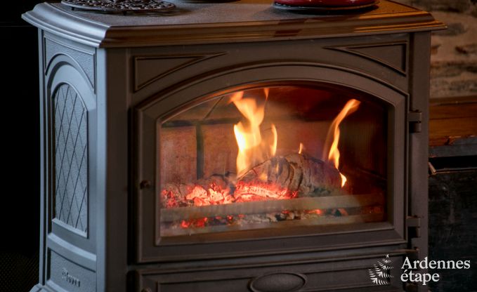 Vakantiehuis in L�glise voor 15 personen in de Ardennen