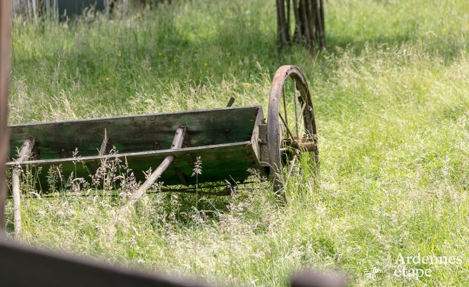 Vakantiehuis in L�glise voor 15 personen in de Ardennen