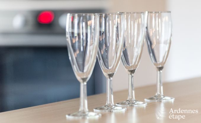 Ruime cottage voor 9 personen in Libramont-Chevigny met priv�tuin en terras met uitzicht