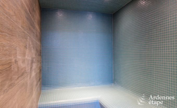 Vakantiehuis in Libramont-Chevigny voor 15 personen in de Ardennen