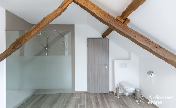 Vakantie op de boerderij in Libramont voor 12/14 personen in de Ardennen