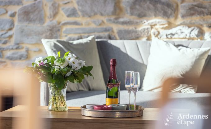 Vakantiehuis in Libramont voor 10 personen met privterras en 6 slaapkamers