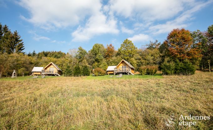 Buitengewoon in Lierneux voor 4/5 personen in de Ardennen