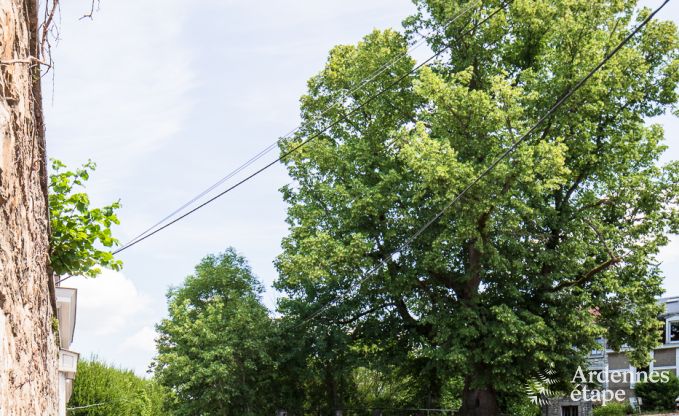 Vakantiehuis in Limbourg voor 2/4 personen in de Ardennen