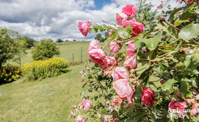 Vakantiehuis in Malmedy voor 8 personen in de Ardennen