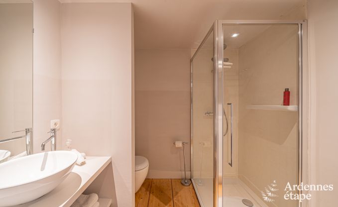 Charmant en stijlvol boerderijtje voor 14 personen en 2 honden in Manhay