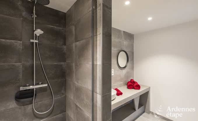 Vakantiehuis in Manhay voor 9 personen in de Ardennen