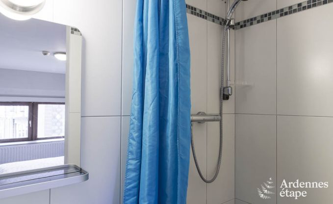 Ruim vakantiehuis voor 30 personen in Manhay, Ardennen