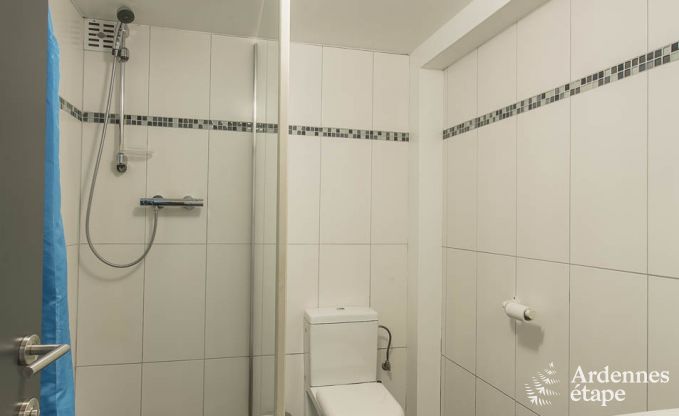 Ruim vakantiehuis voor 30 personen in Manhay, Ardennen