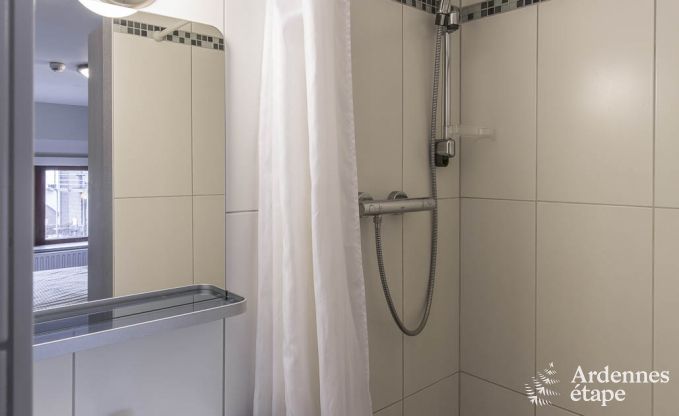 Ruim vakantiehuis voor 30 personen in Manhay, Ardennen