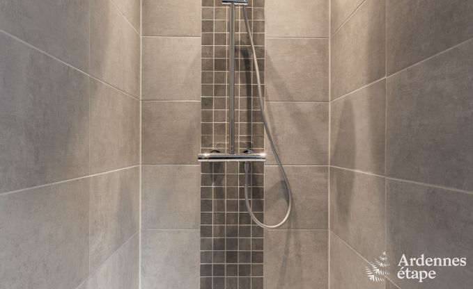 Vakantiehuis in Manhay voor 10 personen in de Ardennen