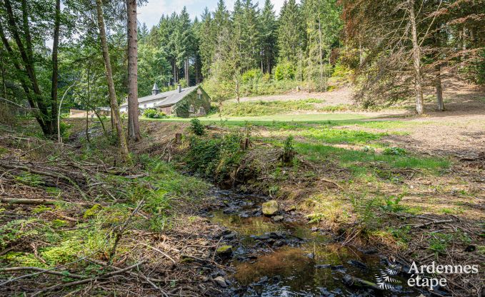 Charmant vakantiehuis in Manhay voor 8 personen, met verwarmd buitenzwembad, privvijver en fietsgarage aan de rand van het bos