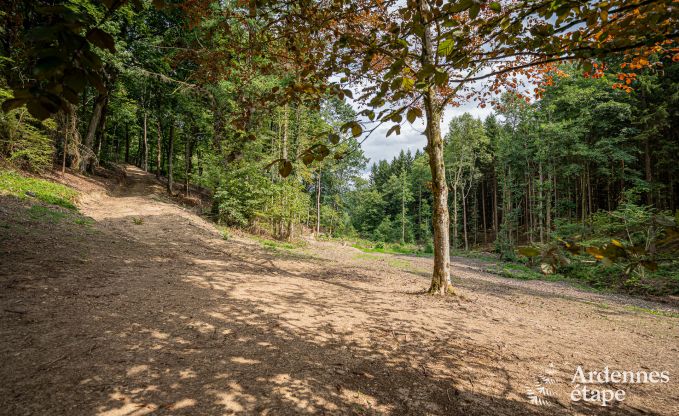 Charmant vakantiehuis in Manhay voor 8 personen, met verwarmd buitenzwembad, privvijver en fietsgarage aan de rand van het bos