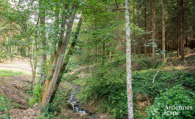 Charmant vakantiehuis in Manhay voor 8 personen, met verwarmd buitenzwembad, privvijver en fietsgarage aan de rand van het bos