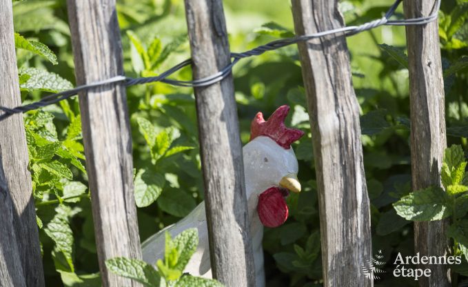 Vakantiehuis met sauna en spellen in Manhay voor 20 personen in de Ardennen