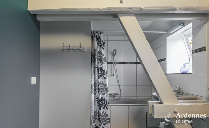 Vakantiehuis met sauna en spellen in Manhay voor 20 personen in de Ardennen