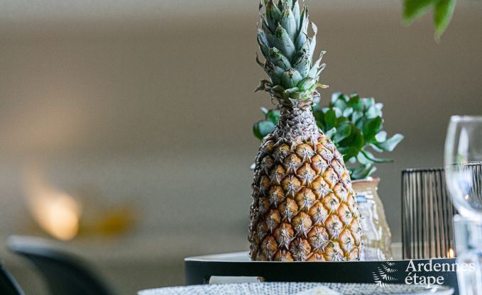 Vakantiehuis in Manhay voor 4 personen in de Ardennen