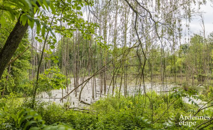 Kasteel in Marche-en-Famenne voor 15 personen in de Ardennen