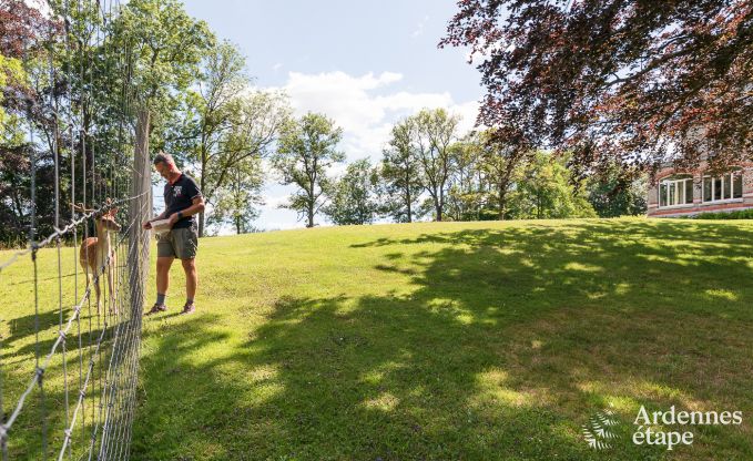 Kasteel in Marche-en-Famenne voor 15 personen in de Ardennen