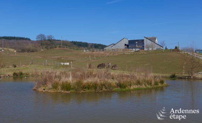 Luxe villa in Marche-en-Famenne voor 22 personen in de Ardennen