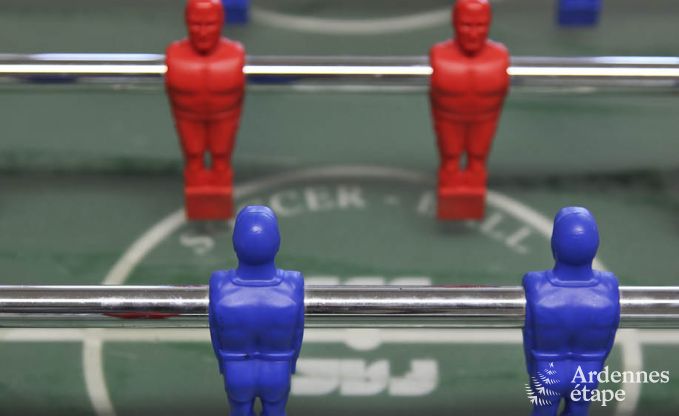 Luxe villa in Marche-en-Famenne voor 22 personen in de Ardennen