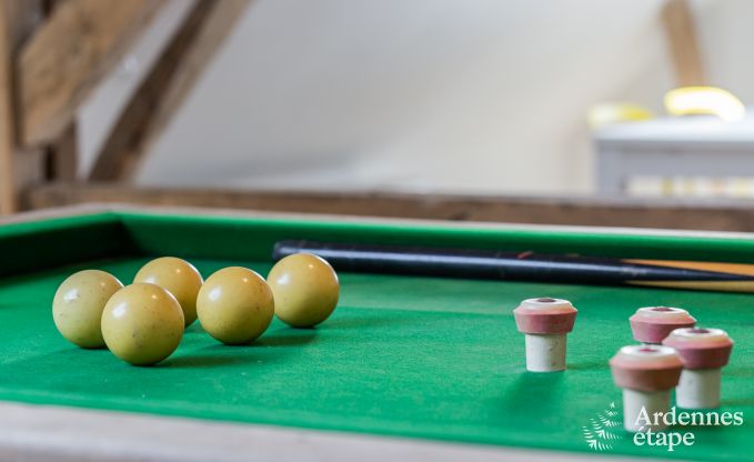 Vakantiehuis in Marche-en-Famenne voor 15 personen in de Ardennen